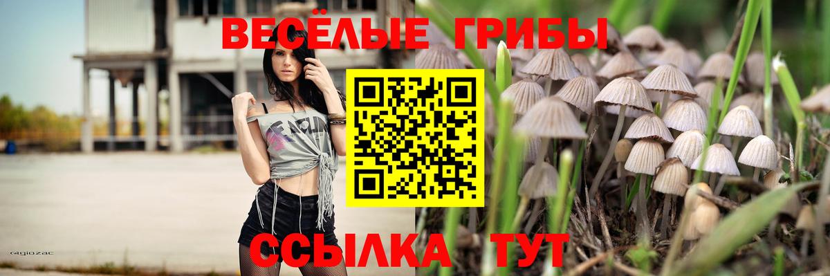 Ленинск-Кузнецкий  Псилоцибиновые грибы Cubensis  Вход с VPN 
