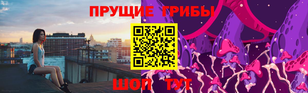 Псилоцибиновые грибы Psilocybe Ленинск-Кузнецкий